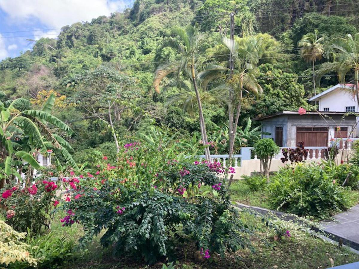 Stunning 2-Bed Apartment in Grand Roy Grenada Mount Nesbit Exterior foto